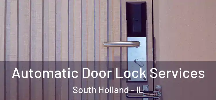 Automatic Door Lock Services South Holland - IL