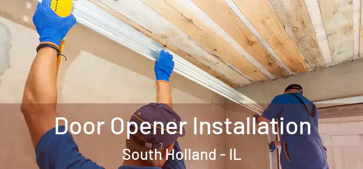 Door Opener Installation South Holland - IL