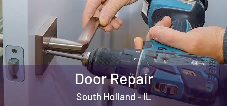 Door Repair South Holland - IL