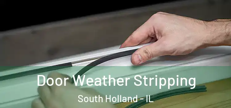 Door Weather Stripping South Holland - IL