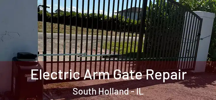 Electric Arm Gate Repair South Holland - IL