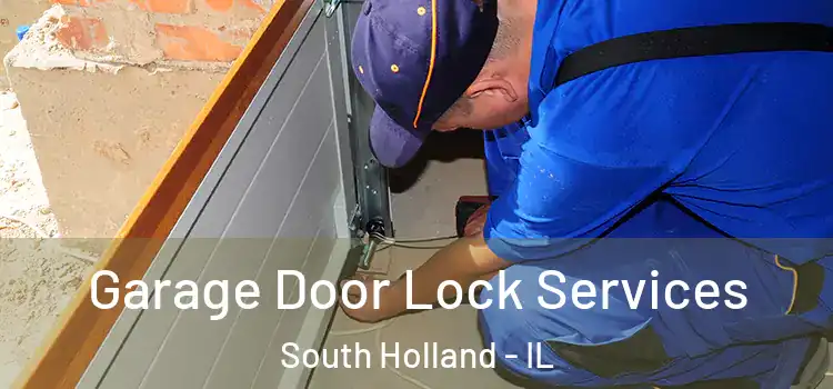 Garage Door Lock Services South Holland - IL