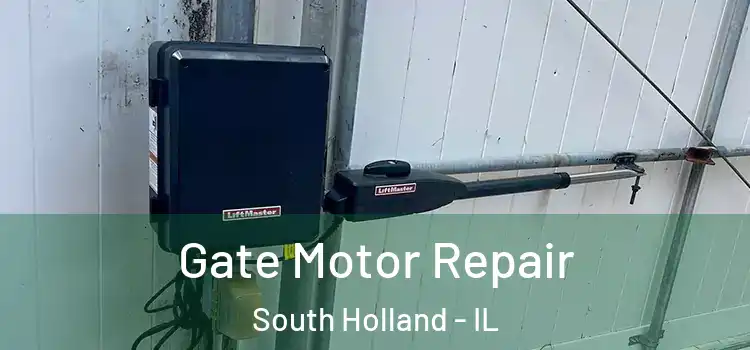 Gate Motor Repair South Holland - IL