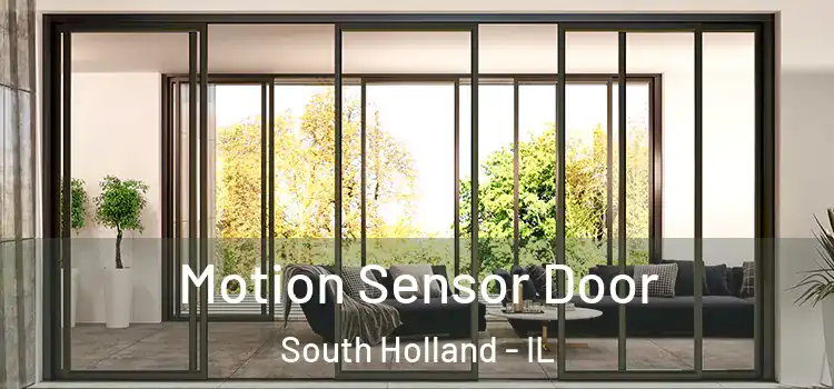 Motion Sensor Door South Holland - IL