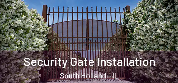 Security Gate Installation South Holland - IL